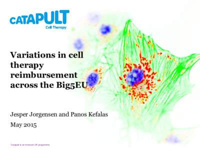 Variations in cell therapy reimbursement across the Big5EU  Jesper Jorgensen and Panos Kefalas