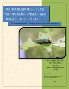 IDAHO RESPONSE PLAN for INVASIVE INSECT and DISEASE TREE PESTS