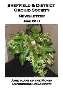 Sheffield & District Orchid Society Newsletter JuneJune plant of the Month