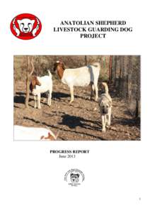 ANATOLIAN SHEPHERD LIVESTOCK GUARDING DOG PROJECT PROGRESS REPORT June 2013