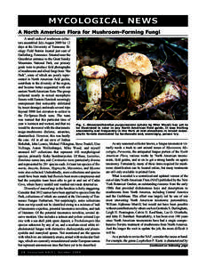 MYCOLOGICAL NEWS  A North American Flora for Mushroom-Forming Fungi A small cadre of mushroom collectors assembled July-August 2009 for 12 days at the University of Tennessee Biology Field Station located just east of