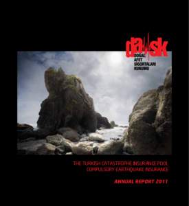 THE TURKISH CATASTROPHE INSURANCE POOL COMPULSORY EARTHQUAKE INSURANCE ANNUAL REPORT 2011 THE TURKISH CATASTROPHE INSURANCE POOL 	 FOOTNOTES FOR FINANCIAL STATEMENTS