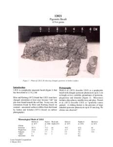 12021 Pigeonite Basaltgrams Figure 1: Photo of 12021,36 showing elongate pyroxene in broken surface.