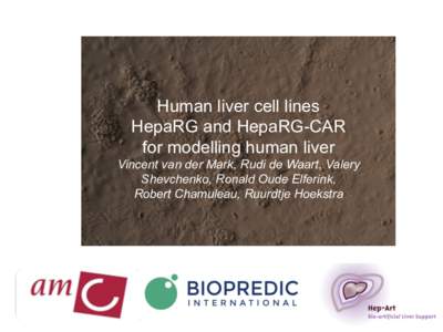 Human liver cell lines HepaRG and HepaRG-CAR for modelling human liver Vincent van der Mark, Rudi de Waart, Valery Shevchenko, Ronald Oude Elferink, Robert Chamuleau, Ruurdtje Hoekstra