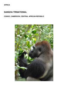 AFRICA  SANGHA TRINATIONAL CONGO, CAMEROON, CENTRAL AFRICAN REPUBLIC  Congo, Cameroon, CAR – Sangha Trinational