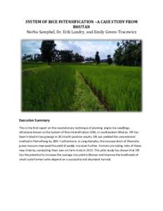 SYSTEM OF RICE INTENSIFICATION –A CASE STUDY FROM BHUTAN Norbu Samphel, Dr. Erik Landry, and Emily Green-Tracewicz Executive Summary This is the first report on the revolutionary technique of planting single rice seedl