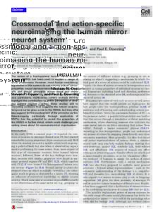 Opinion  Crossmodal and action-specific: neuroimaging the human mirror neuron system Nikolaas N. Oosterhof1,2,3, Steven P. Tipper4,5, and Paul E. Downing4