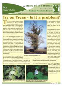 Ivy  from News of the Woods the newsletter of the
