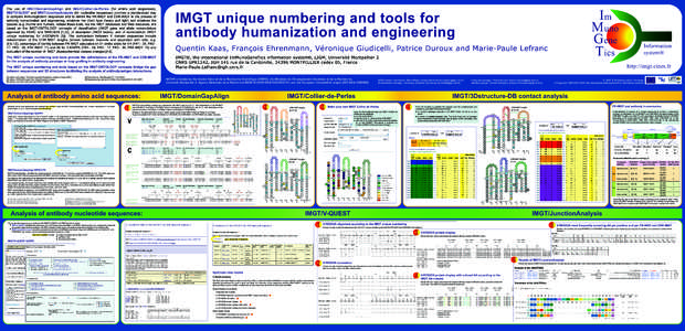 The use of IMGT/DomainGapAlign and IMGT/Collier-de-Perles (for amino acid sequences), IMGT/V-QUEST and IMGT/JunctionAnalysis (for nucleotide sequences) provides a standardized way to compare immunoglobulin sequences and 