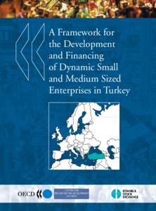 A Framework for the Development and Financing of Dynamic Small and Medium Sized Enterprises in Turkey