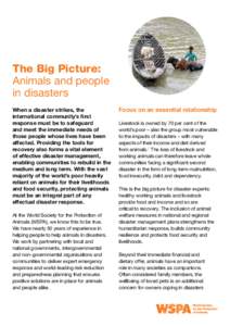 The Big Picture: Animals and people in disasters When a disaster strikes, the international community’s first response must be to safeguard