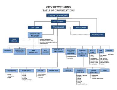 Microsoft Word - CITY OF WYOMING ORGANIZATIONAL FLOW CHART