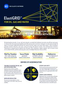 ElastiGRID™  FOR OIL, GAS AND WATER INCREASED EFFICIENCY AND SECURITY BY DIGITIZING OIL, GAS, AND WATER NETWORKS