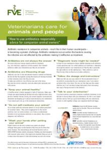 Federation of Veterinarians of Europe Veterinarians care for animals and people