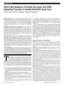 ORIGINAL ARTICLE  Direct Recruitment of Insulin Receptor and ERK Signaling Cascade to Insulin-Inducible Gene Loci Joel D. Nelson,1,2 Rene´e C. LeBoeuf,2,3 and Karol Bomsztyk1,2