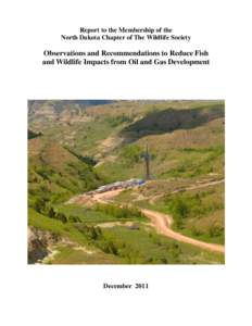 Report to the Membership of the North Dakota Chapter of The Wildlife Society Observations and Recommendations to Reduce Fish and Wildlife Impacts from Oil and Gas Development