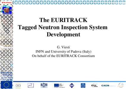 The EURITRACK Tagged Neutron Inspection System Development G. Viesti INFN and University of Padova (Italy) On behalf of the EURITRACK Consortium