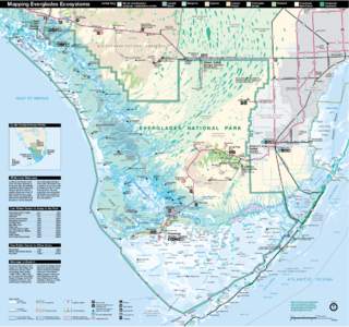Everglades / Biscayne National Park / Marine biology / Everglades National Park / Flamingo /  Florida / Tropical hardwood hammock / Ernest F. Coe / Hells Bay / Elliott Key / Geography of Florida / Florida / Florida Keys