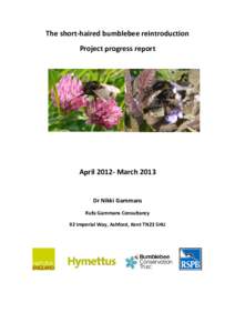 The short-haired bumblebee reintroduction project report