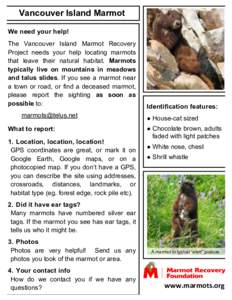 Vancouver Island Marmot Sightings 	
   We need your help! 	
  