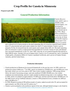 Crop Profile for Canola in Minnesota Prepared April, 2000 General Production Information Canola (Brassica napus and B. rapa), a