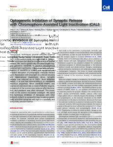 Neuron  NeuroResource Optogenetic Inhibition of Synaptic Release with Chromophore-Assisted Light Inactivation (CALI) John Y. Lin,1,* Sharon B. Sann,2 Keming Zhou,2 Sadegh Nabavi,3 Christophe D. Proulx,3 Roberto Malinow,2