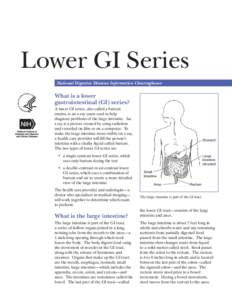 Lower GI Series National Digestive Diseases Information Clearinghouse What is a lower gastrointestinal (GI) series? A lower GI series, also called a barium
