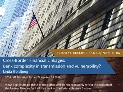 Session 2: Linda Goldberg - Discussant - Presentation for IMF Statistical Forum, Nov, 2014