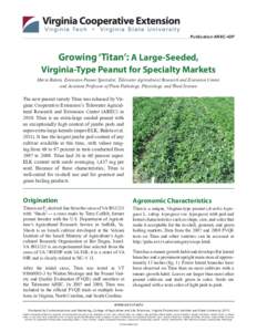 Publication AREC-42P  Growing ‘Titan’: A Large-Seeded, Virginia-Type Peanut for Specialty Markets Maria Balota, Extension Peanut Specialist, Tidewater Agricultural Research and Extension Center, and Assistant Profess