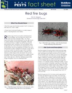 Published by Utah State University Extension and Utah Plant Pest Diagnostic Laboratory  ENTJuly 2008