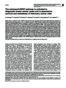 The calcineurin&sol;NFAT pathway is activated in diagnostic breast cancer cases and is essential to survival and metastasis of mammary cancer cells