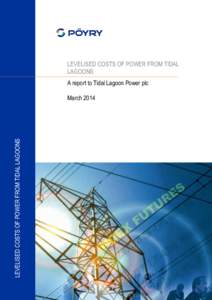 LEVELISED COSTS OF POWER FROM TIDAL LAGOONS A report to Tidal Lagoon Power plc LEVELISED COSTS OF POWER FROM TIDAL LAGOONS