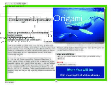 Discover Your World With NOAA  Endangered Species Origami