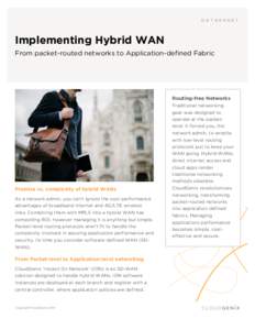 Microsoft Word - Hybrid WAN - Solution Brief.docx