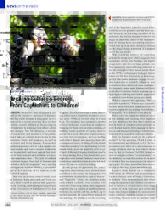 NEWS OF THE WEEK  Probing Culture’s Secrets, From Capuchins to Children LONDON—Scientists once designated cul-