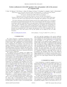 PHYSICAL REVIEW B 76, 195320 共2007兲  Exciton confinement in InAsÕ InP quantum wires and quantum wells in the presence of a magnetic field Y. Sidor,1 B. Partoens,1 F. M. Peeters,1 J. Maes,2 M. Hayne,3 D. Fuster,4 Y. 