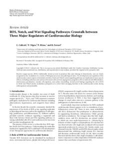 ROS, Notch, and Wnt Signaling Pathways: Crosstalk between Three Major Regulators of Cardiovascular Biology