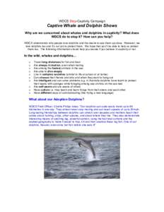 WDCS Stop-Captivity Campaign  Captive Whale and Dolphin Shows Why are we concerned about whales and dolphins in captivity? What does WDCS do to stop it? How can you help? WDCS understands why people love dolphins and the