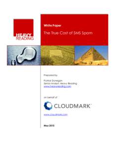 White Paper  The True Cost of SMS Spam Prepared by Patrick Donegan