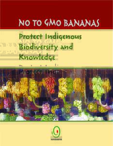 No to GMO bananas Protect Indigenous Biodiversity and Knowledge  Section ONE