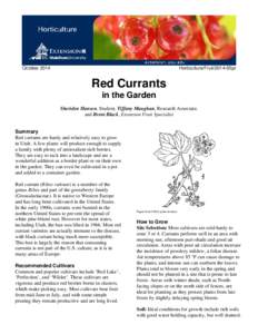 Microsoft Word - Red Currant format10-16