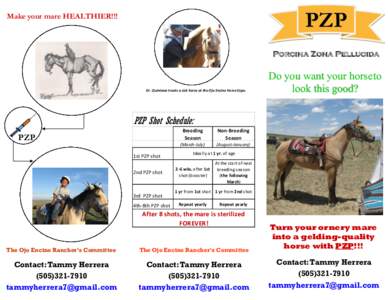 PZP  Make your mare HEALTHIER!!! Porcina Zona Pellucida