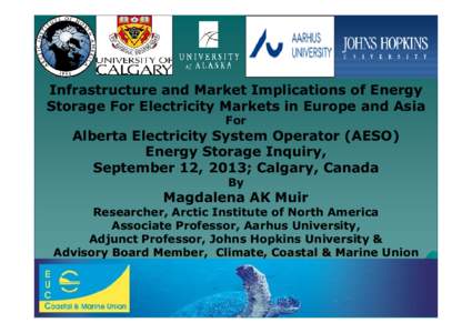 Infrastructure and Market Implications of Energy Storage For Electricity Markets in Europe and Asia For Alberta Electricity System Operator (AESO) Energy Storage Inquiry,