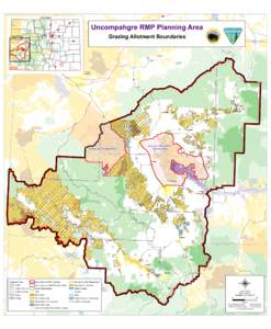 Colorado  Uncompahgre RMP Planning Area Grazing Allotment Boundaries  Map Extent