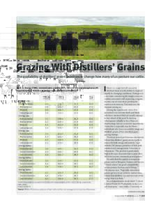 photo by Shauna Rose Hermel  Grazing With Distillers’ Grains The availability of distillers’ grains promises to change how many of us pasture our cattle. by Ed Haag
