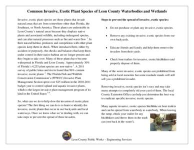 Microsoft Word - Common Invasive Plants of Leon County_Aquatic