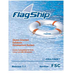 The whole FlagShip 7 manual consist of following sections: Section Content General information: License agreement & warranty, GEN installation and de-installation, registration and support FlagShip language: Specificati