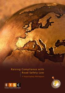 R aising Compliance with Road Safety Law 1 st Road Safety PIN Report PIN Panel