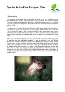 Species Action Plan: European Otter  1. Current status The Eurasian or European otter (Lutra lutra) is native to the UK. It belongs to the Mustelid family that includes weasels, stoats, badgers, polecats, pine martins an
