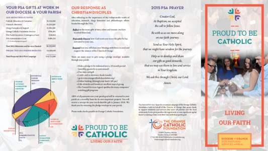 Your PSA Gifts at Work in Our Diocese & Your Parish Our Response as Christian Disciples